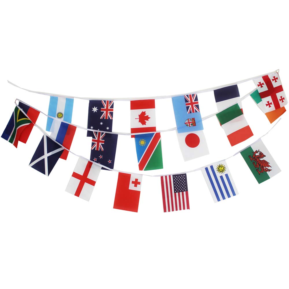 The Bunting Store 2019 Rugby World Cup Flag Bunting 6 Metres