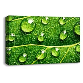 Canvas Wall Art Leaf Veins Pictures Home Wall Decorations for Bedroom Living Room Paintings Canvas Prints Framed - 12x18 inches