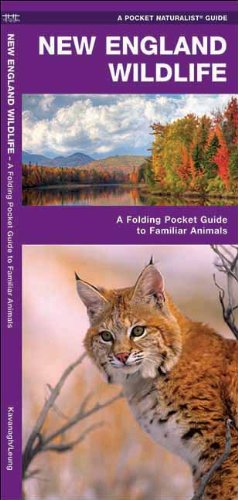 New England Wildlife: A Folding Pocket Guide to Familiar Species (Pocket Naturalist Guide Series)