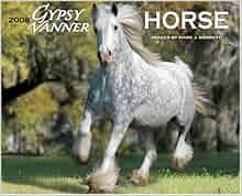 Gypsy Vanner Horse 2008 Calendar Willow Creek Press