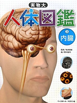 実物大 人体図鑑 3内臓 坂井 建雄 こどもくらぶ 野口 賢司 本 通販 Amazon