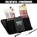 Santa Fe Art Supply Paint Brush Set W/Carrying Case-Organizer - 15+1 Professional Grade Wood Paintbrush Kit Perfect for Watercolor, Oil, Ink, Face - Creative Art Brushes & Craft Supplies for Artists