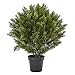 Nearly Natural 6881 3â€™ Cedar Artificial Bush (Indoor/Outdoor),Green
