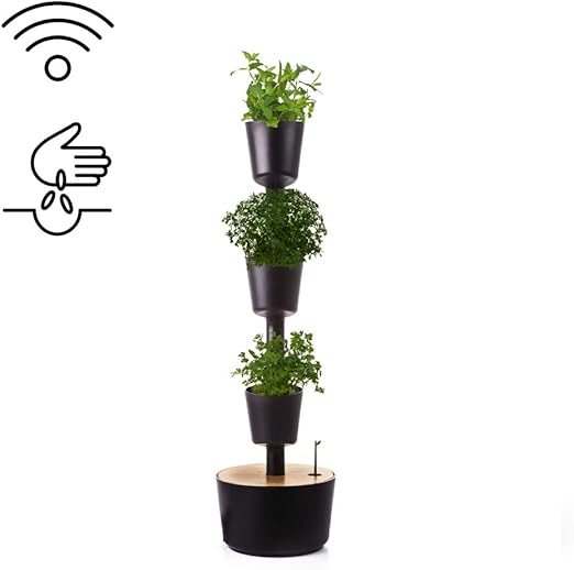 Citysens- Kit Huerto Urbano Vertical con autorriego Inteligente ...