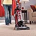 Eureka AirSpeed EXACT Pet Bagless Upright Vacuum Cleaner, AS3001AA,Red