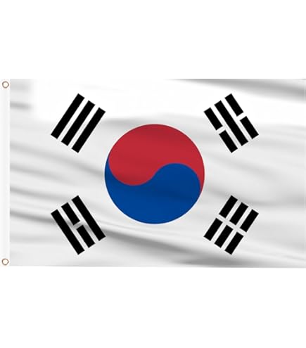 バッジ　韓国　国旗　KOREA 402291-402.jpg