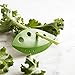 Herb Stripper & Collard Greens: Kale, Chard, Rosemary, Thyme. It Separates Leaves From The Stem For a Few Seconds, The Flick Of The Wrist. Ideal For Standard Condiments! Color - 