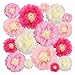 Aunifun 16 Pieces Paper Flower Tissue Paper Chrysanth Flowers DIY Crafting for Wedding Backdrop Nursery Wall Decoration -Multicolor Paper Flower