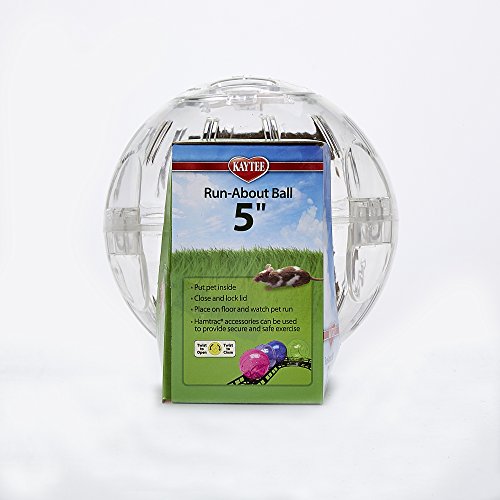 4 Kaytee+Run+about+Mini+Exercise+Clear