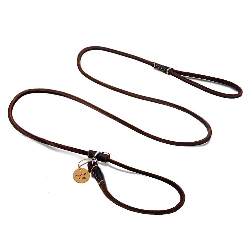Wellbro Real Leather Slip Dog Leash, Super Thin and Adjustable Slip Lead, Soft and Slim, Suit for Puppies Small Dogs, 160cm Long by 0.6cm Wide, Brown