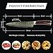 LauKingdom Damascus Chefs Knife, 8-inch Japanese VG10 & 67 Layers High carbon stainless Steel Blade