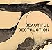 Beautiful Destruction by 