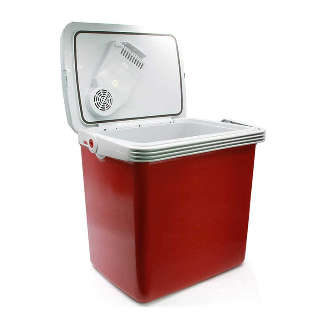 MY1MEY Refrigerador Bolsas y Cajas Refrigerador para automóvil de ...