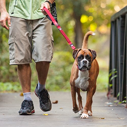 image for EzyDog Zero Shock Leash - Best Shock Absorbing Bungee Dog Leash & Trai