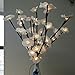 Lighted Flowers White Rose Branches 20 Inches Tall Battery Operated Warm White 40 Led Decoration Floral Branch Crafts With Timer by Babali