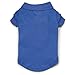 Zack & Zoey Cotton Polo Shirt for Dogs, 16