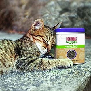 Catnip para gatos, Freeway y hierba