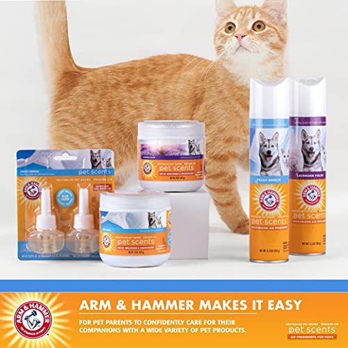 Arm & Hammer Air Care Pet Scents Electric Oil Diffuser Plug-in & Refill - Plug in Air Freshener Pet Odor Eliminator… - Image 5