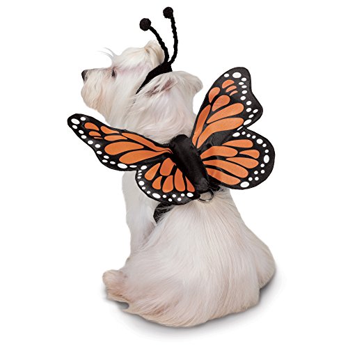 Zack & Zoey Butterfly Glow Harness Costume for Dogs, Large