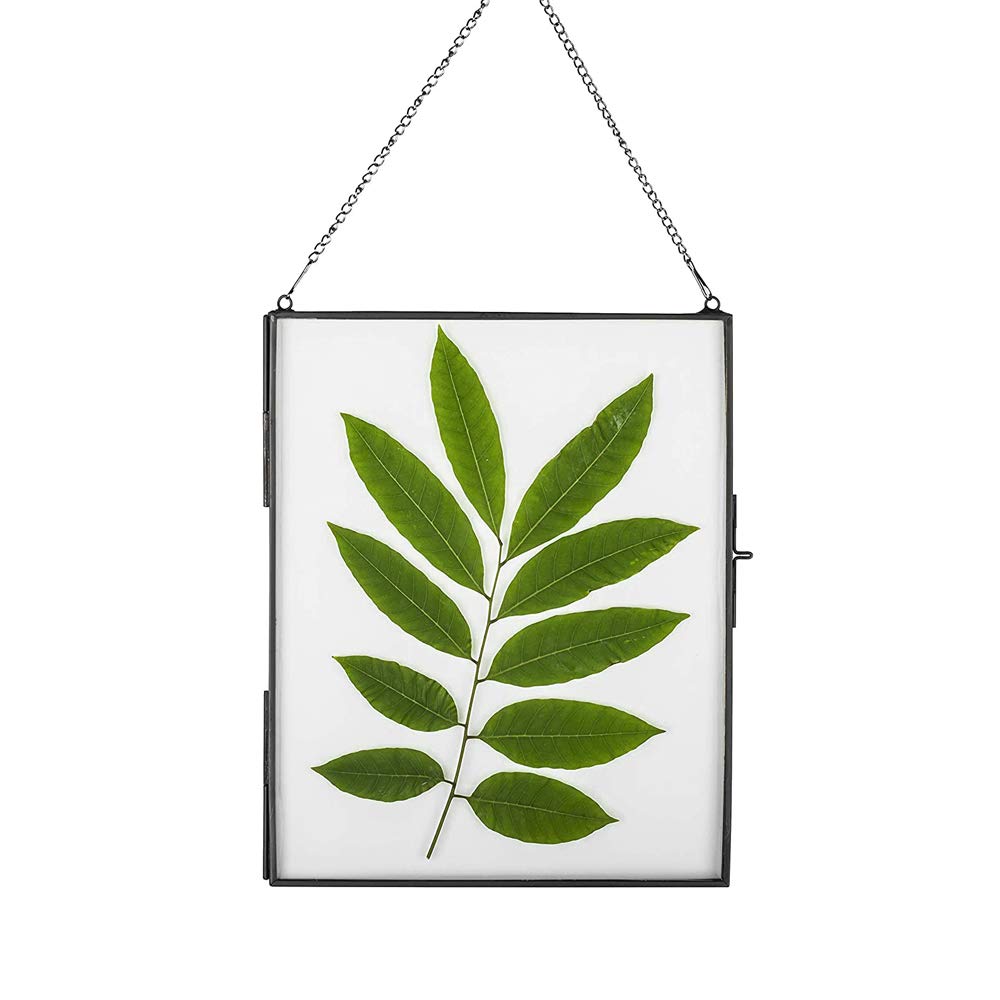 DÉCOCO 25 x 20 cm schwarz zum Aufhängen schwimmender Glas Fotorahmen Wand Pflanzenprobe Clip moderne vertikale Dekoration Karte Kunstwerk Zertifikat Bildhalter nur Glasrahmen