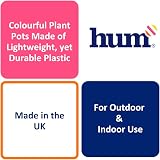 Hum Flowerpots 22cm Set of 3 Plastic Plant Pots Green Blue Pink Maroc view 6