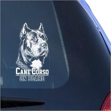 Cane Corso Clear Vinyl Decal Sticker Portrait For Window Corz Molosser Italian Mastiff Dog Sign Art Print