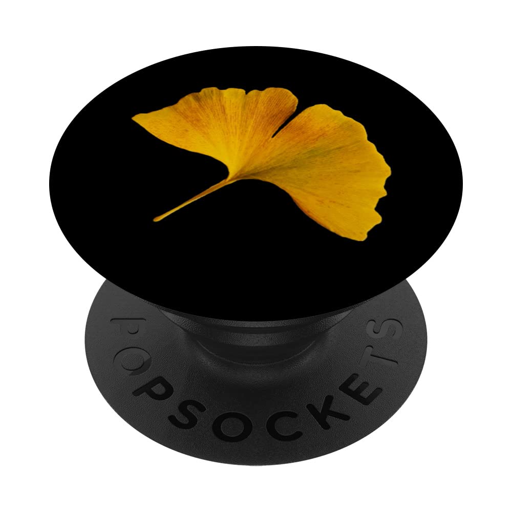 Autumn Ginkgo Biloba Leaf Ginkgo PopSockets Swappable PopGrip