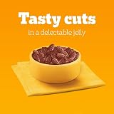 Pedigree Mixed Selection in Gravy 40 Pouches 100 g Mega Pack Adult Wet Dog Food view 6