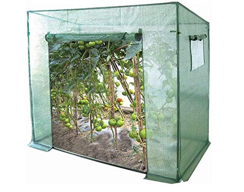 GOJOOASIS Tomato Greenhouses Hot House Upright Plants Shed Growing Cultivation Tent