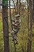 20' Gravity Forward Climbing Stick