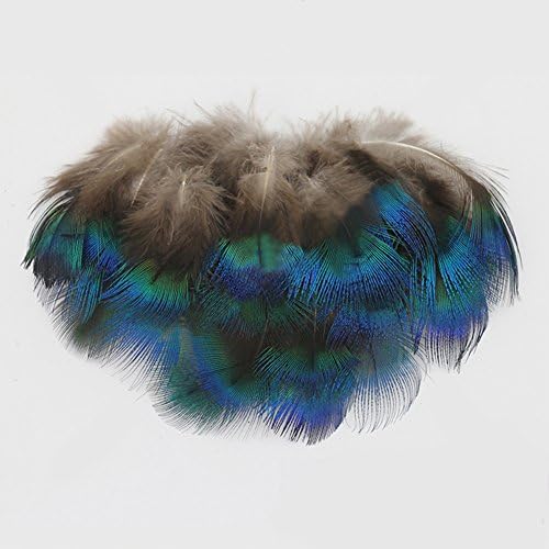 ZJONES Peacock Feather, Blue feather 3-7cm 100pcs/pack