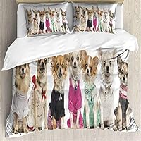 shirlyhome Deep Fitted Sheet Set Group of Dressed up Chihuahuas,Isolated on White Extra Soft Full