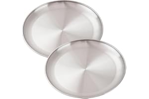 Stainless Steel For Camping Plates Set of 2, Ideal for Outdoor Picnics, Round Tableware for Various Meals (23x1.6cm)