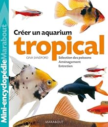 Aquarium tropical