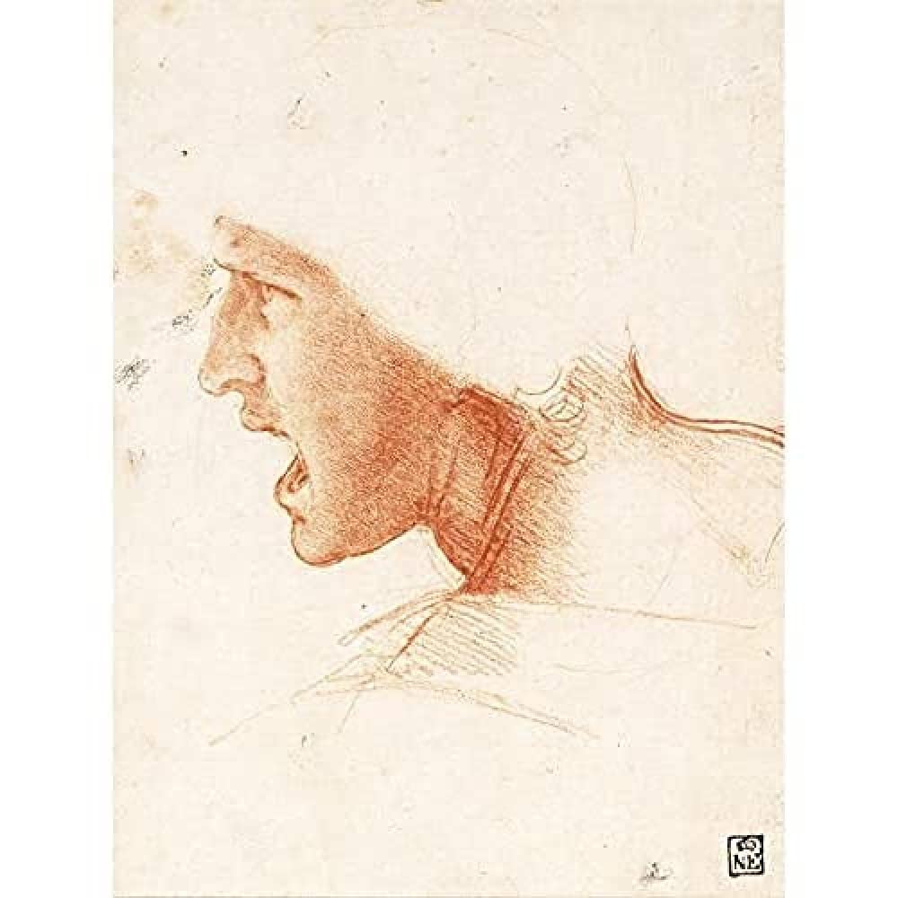 Da Vinci Study Warriors Head Battle Anghiari Sketch Art Print Canvas Premium Wall Decor Poster Mural