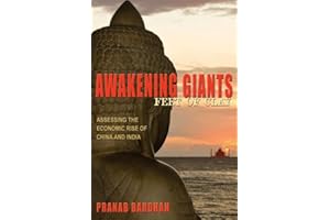 Awakening Giants, Feet of Clay: Assessing the Economic Rise of China and India