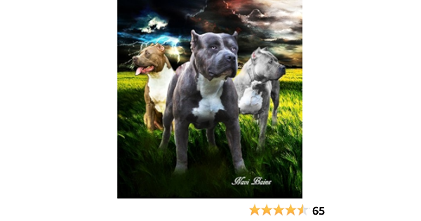 pitbull blanket amazon