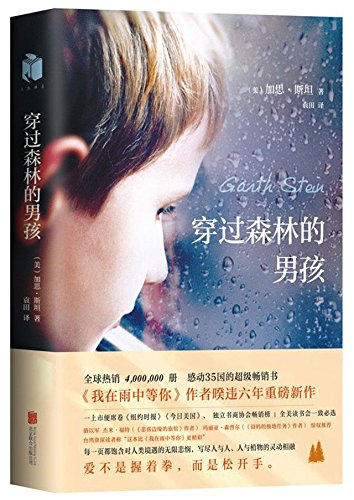 A Sudden Light (Chinese Edition)