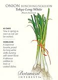 Onion Bunching / Scallion Tokyo Long White Seed