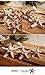 3'' 2'' Huge Pretty Natural Starfish Star Hairpin Hair Clip Beige (2