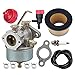 Buckbock H60 HH60 Carburetor for Tecumseh 5 6 HP 632230 632272 631828 631067 631067A H30 H50 HH70 4 Cycle Engine Troy Bilt Horse Tiller Parts