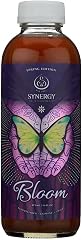 Gts, Kombucha Seasonal Organic, 16 Fl Oz