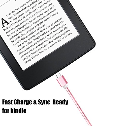 6 PowerLine+iBarbe+Reversible+Micro+USB+MicroUSB