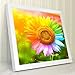 eGoodn 5D Diamond Painting Art Full Drill Round Beads Paint by Number Kit Arts Craft Home Decor, Canvas 15.8 by 15.8 inches, Colorful Sunflower, No Frame