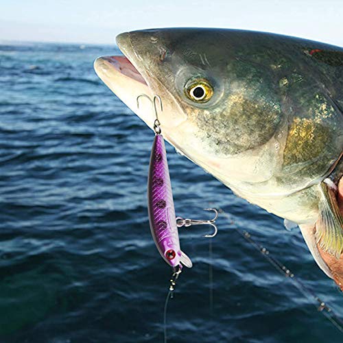 Ewolee Leurres De Pêche Kit, 30 Pcs Cuillere Peche Truite Kit, Appât Dur, Paillettes Tournantes, Paillettes En Forme De Cuillère, Kit Dappâts De Pêche Portable Avec Boîte