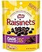 RAISINETS Dark Chocolate 8 oz. Standup Bag (pack of 2)