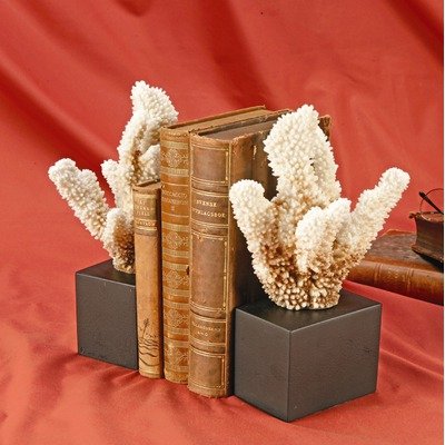 Coral Bookend - Image 2