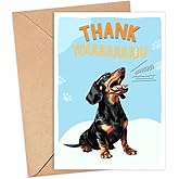 GreenStar Gifts Dachshund Dog Card, Dog Thank You Card, Cute Pun Thank You Card For Him Her, For Friends, Teacher, Boss, Coworker, Dog Lover Gift, Veterinarian Thank You Gift, Dachshund Dog Lover
