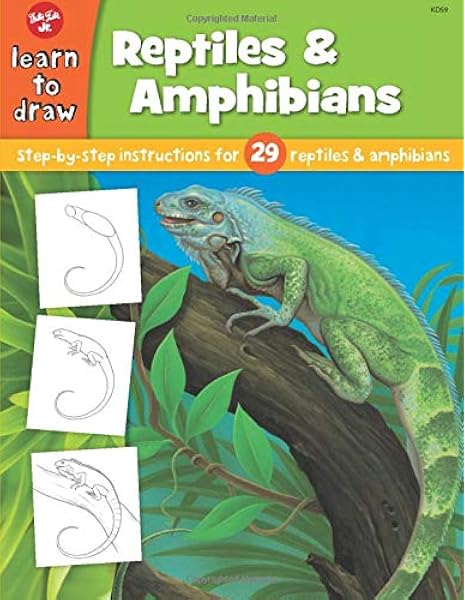 Learn To Draw Reptiles Amphibians Fisher Diana 9781560109945 Amazon Com Books