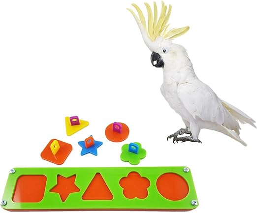 parrot puzzle toys